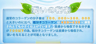 ビューティーマザーリーフ.jpg
